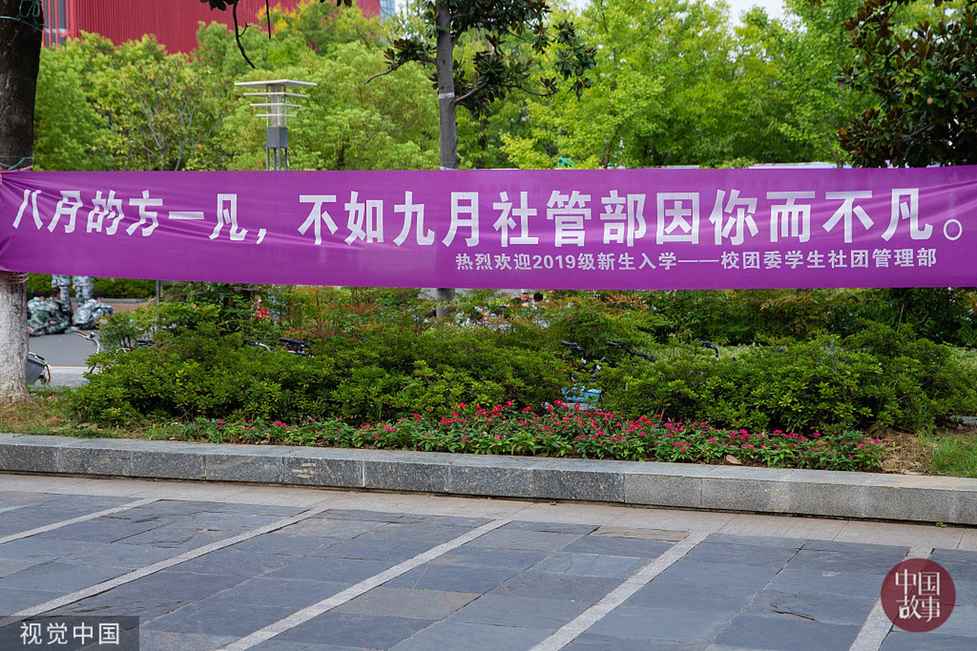 室内装修：五大步骤助你打造梦想家园